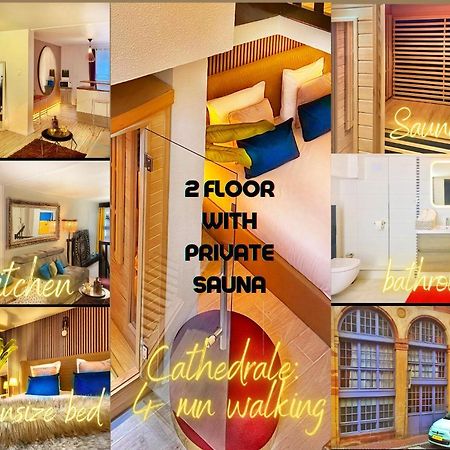 Apartment Duplex With Sauna City- Center Cathedrale ستراسبورغ المظهر الخارجي الصورة